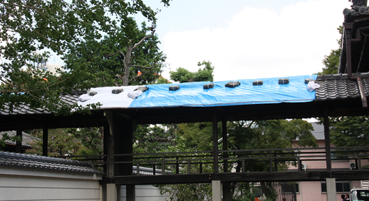 台風被害でお寺が問われる責任と適切な対応策とは？