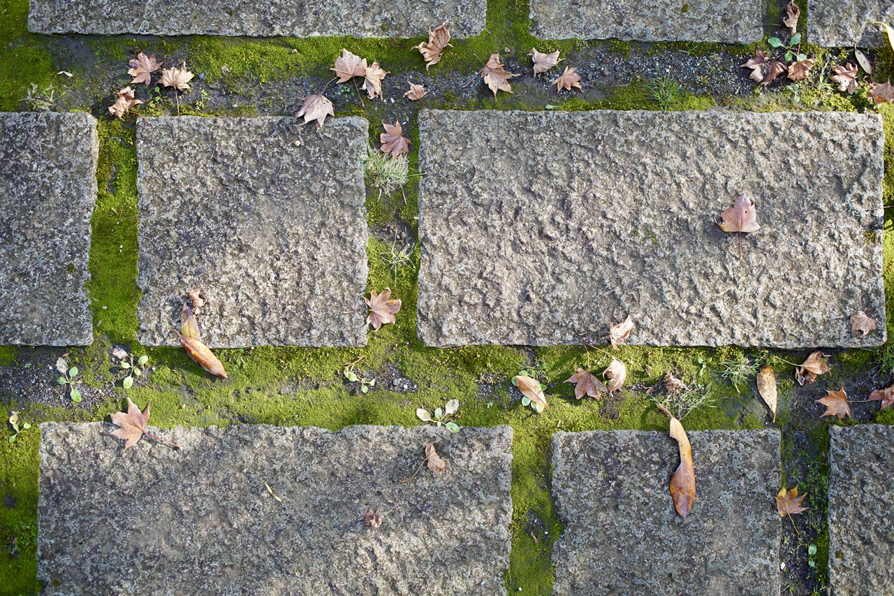 境内の倒木で損害賠償のリスクも…適切な管理を！