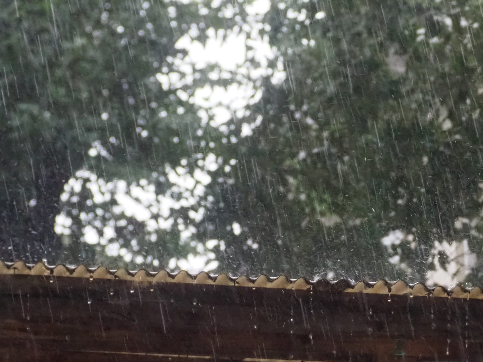 風災補償があっても保険金が出ない理由とは？火災保険の仕組み徹底解説