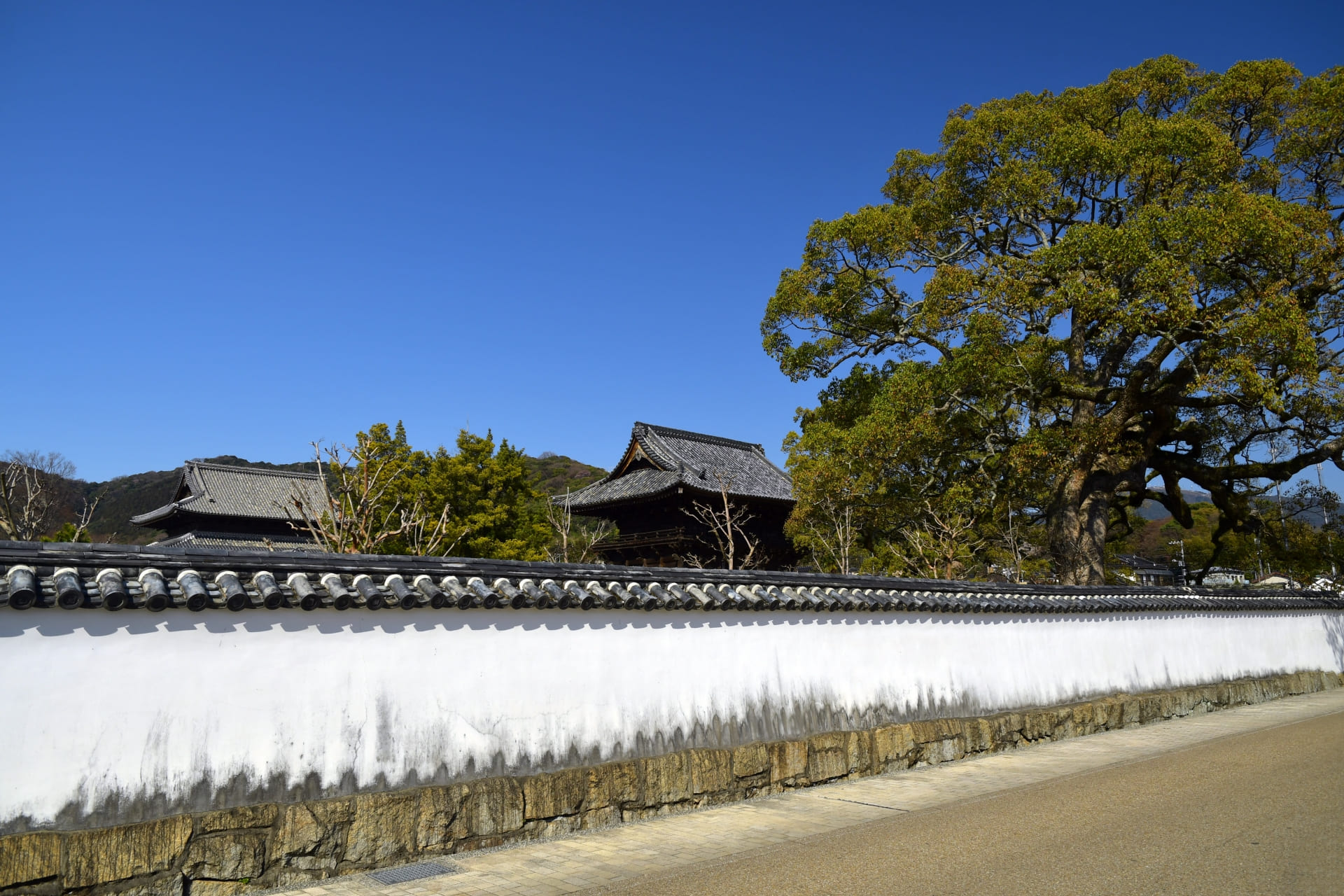 瓦塀が壊された…その時どうする？寺院の安全を守る実践ガイド